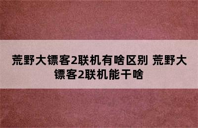 荒野大镖客2联机有啥区别 荒野大镖客2联机能干啥